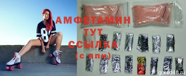 стафф Вязьма